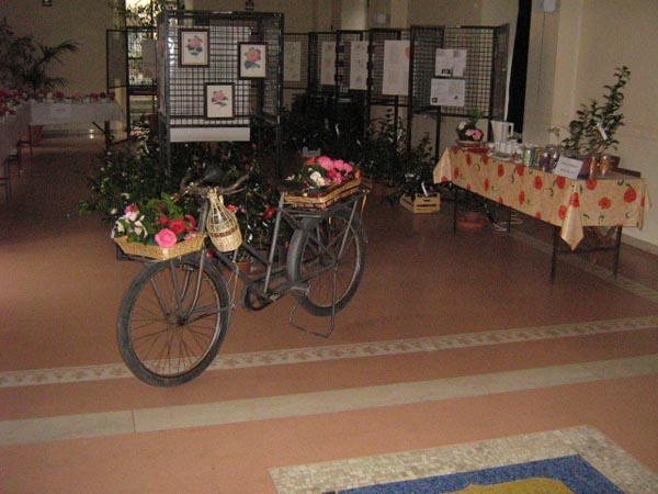 Angera mostra 2007